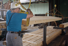 Ward Pine Mill - White pine Log Home Timbers being milled