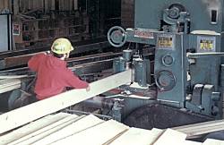 Ward Lumber - White pine Mill - Yates Planer